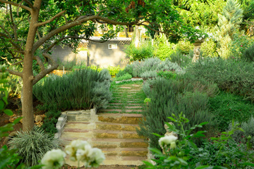 Besoin d'un jardinier pour l'entretien de votre jardin ?